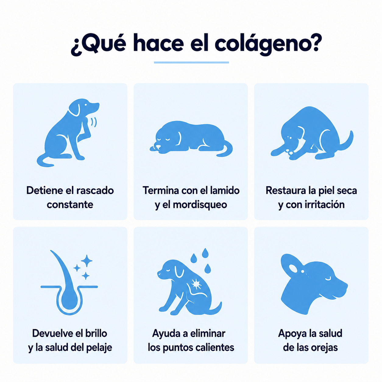 PataVital® Colágeno Para Perros | No Más Rascado
