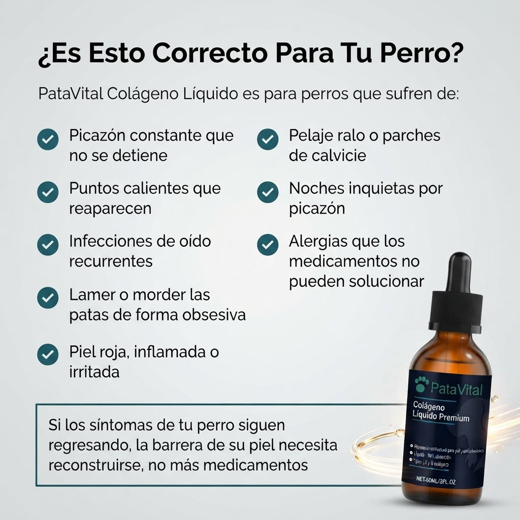 PataVital® Colágeno Para Perros | No Más Rascado